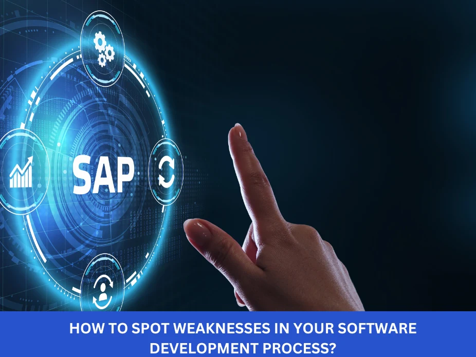 How to Spot Weaknesses in Your Software Development Process?